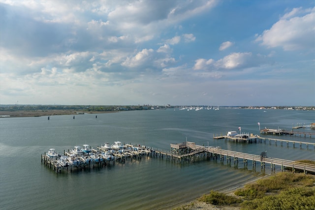 228 Pelican Reef Dr, Saint Augustine, FL 32080 - photo 4