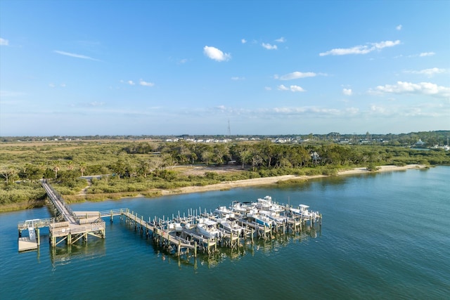 228 Pelican Reef Dr, Saint Augustine, FL 32080 - photo 3