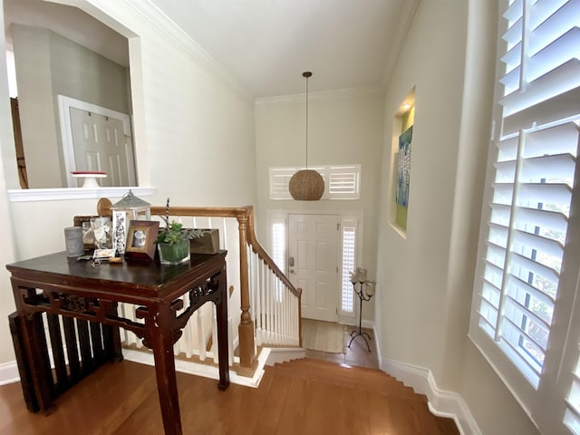 176 Sunset Cir, Saint Augustine, FL 32080 - photo 8