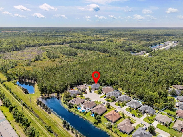 153 Savanna Preserve Ct, Saint Augustine, FL 32095 - aerial view of a forest and a large body of water