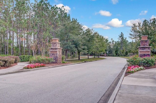 153 Savanna Preserve Ct, Saint Augustine, FL 32095 - view of asphalt road with curbs and sidewalks
