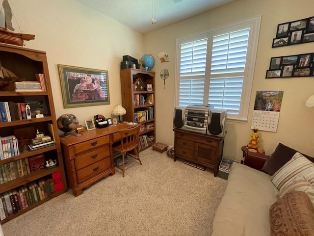 home office featuring light colored carpet