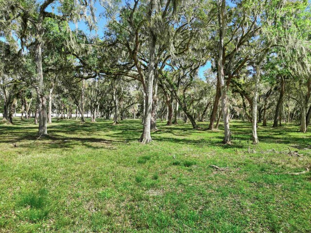 0 Rolling Hills Dr, Saint Augustine, FL 32086 - photo 18