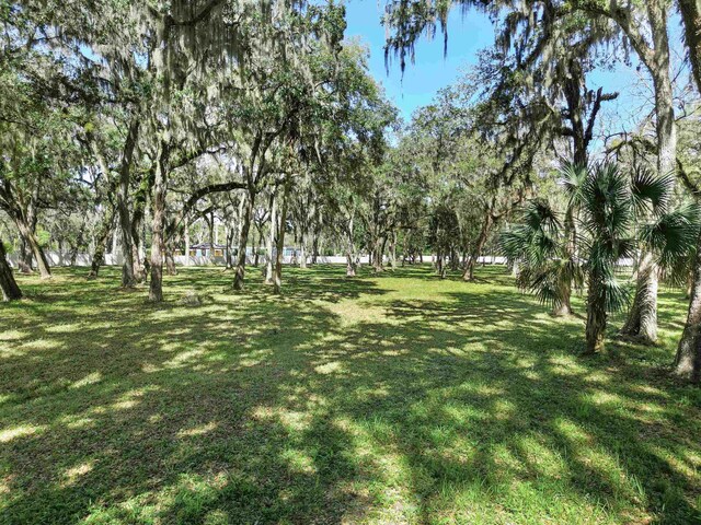 0 Rolling Hills Dr, Saint Augustine, FL 32086 - photo 19