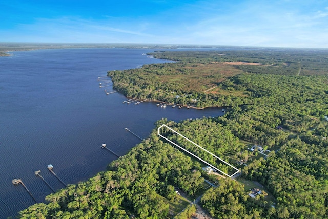 132 Pioneer Trl, Green Cove Springs, FL 32043 - bird's eye view featuring a water view and a view of trees