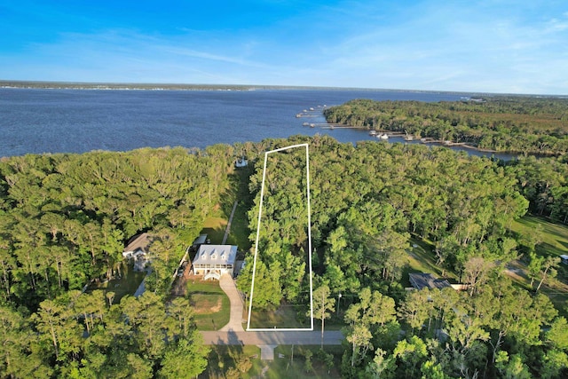 132 Pioneer Trl, Green Cove Springs, FL 32043 - aerial view featuring a view of trees and a water view