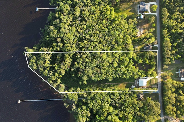 132 Pioneer Trl, Green Cove Springs, FL 32043 - birds eye view of property