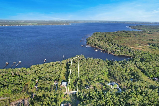 132 Pioneer Trl, Green Cove Springs, FL 32043 - bird's eye view featuring a water view