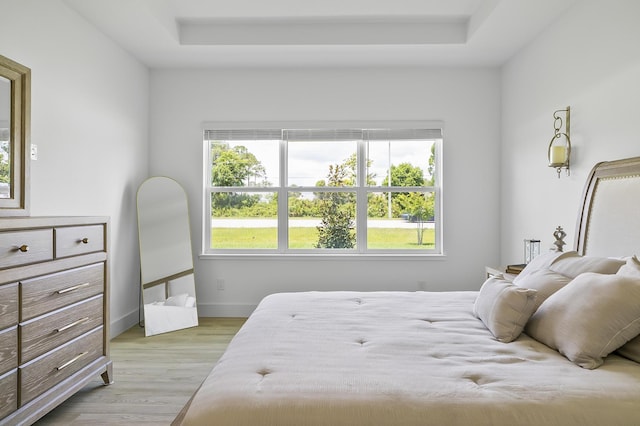 1 Clementon Ln, Palm Coast, FL 32137 - bedroom with light wood finished floors and a tray ceiling
