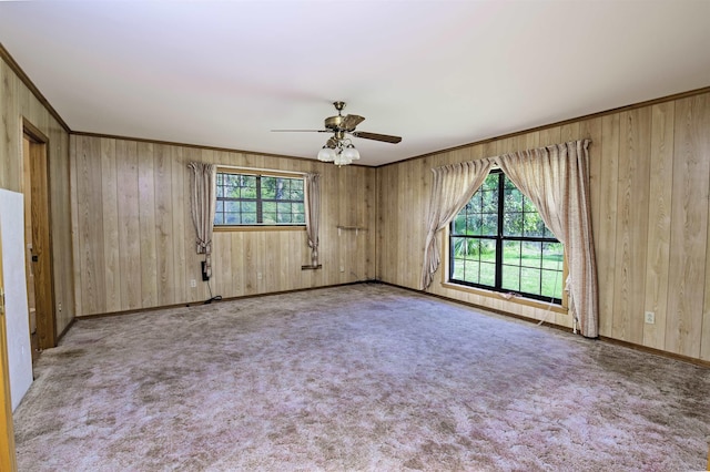 spare room with wooden walls and a healthy amount of sunlight