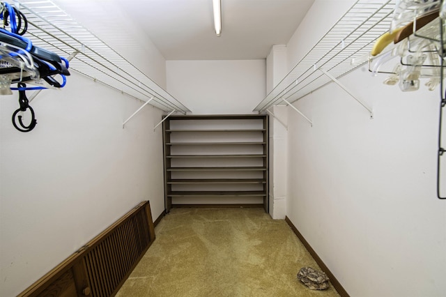 walk in closet with light carpet