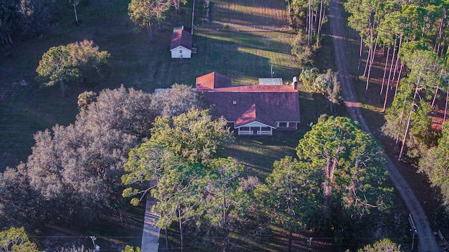 aerial view