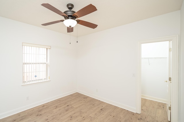 interior space with a walk in closet, light wood-type flooring, a closet, and ceiling fan