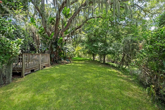 view of yard with a deck