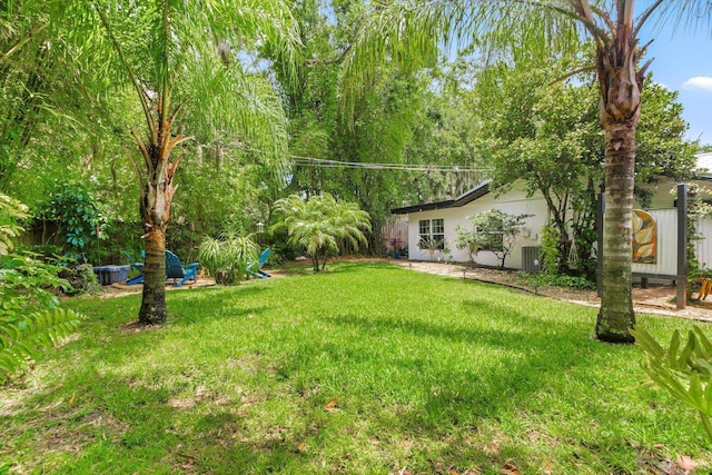 605 A St, Saint Augustine, FL 32080 - view of yard