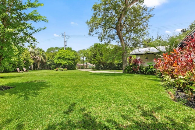 605 A St, Saint Augustine, FL 32080 - view of green lawn
