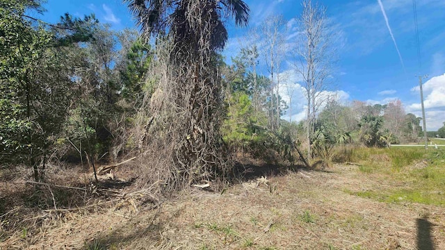 Listing photo 2 for TBD Paradise Blvd, Georgetown FL 32139