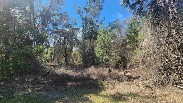 Listing photo 3 for TBD Paradise Blvd, Georgetown FL 32139