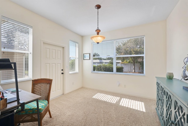 office space with carpet and baseboards