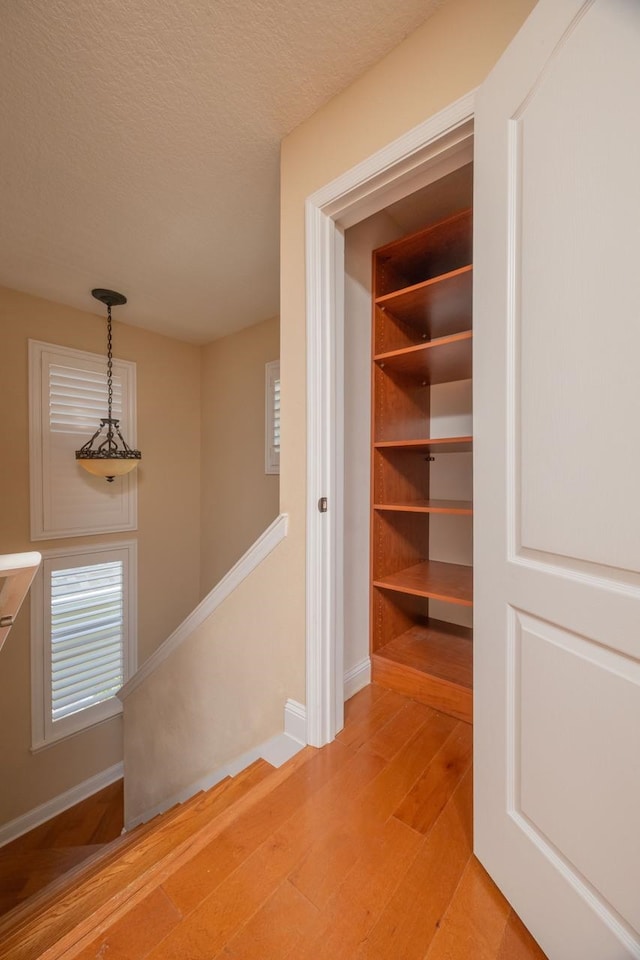 517 Weeping Willow Ln, Saint Augustine, FL 32080 - hallway with baseboards, light wood-style flooring, an upstairs landing, and a textured ceiling