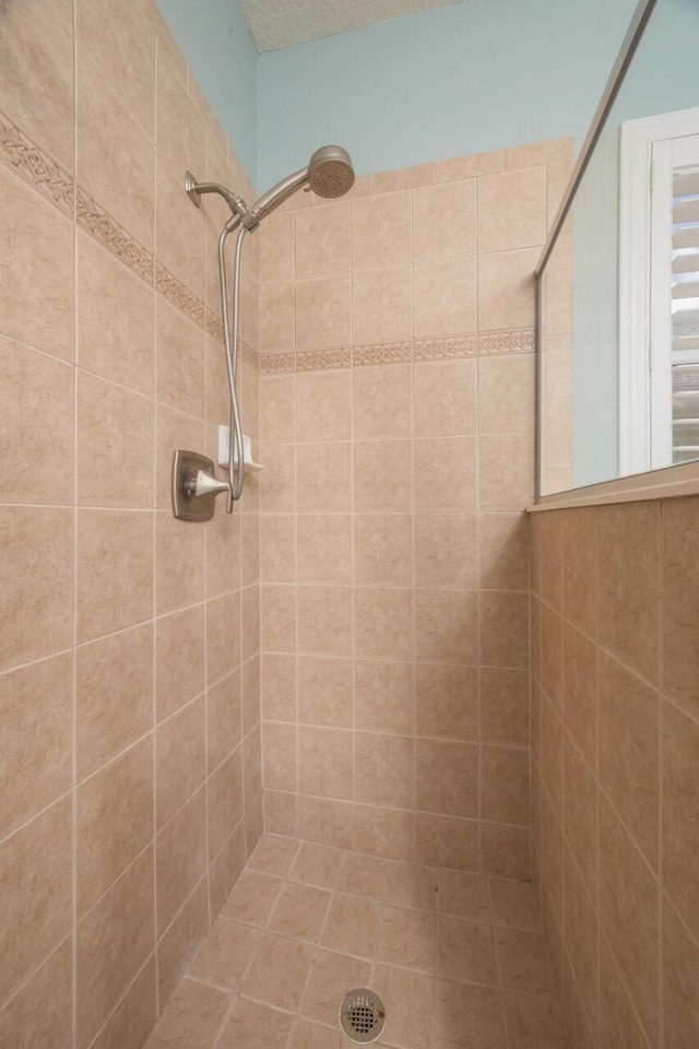 517 Weeping Willow Ln, Saint Augustine, FL 32080 - full bath featuring tiled shower
