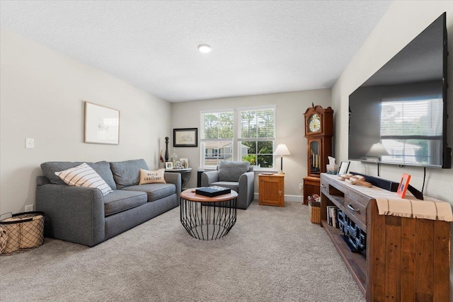 839 Lightsey Crossing Ln, Saint Augustine, FL 32084 - living area with light carpet and a textured ceiling