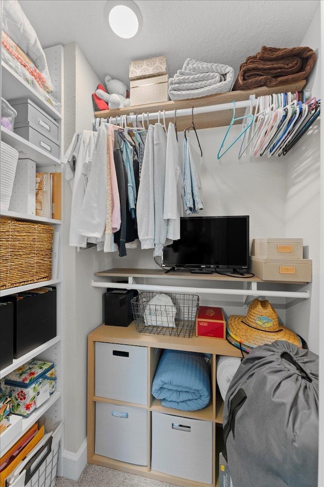 839 Lightsey Crossing Ln, Saint Augustine, FL 32084 - walk in closet with carpet