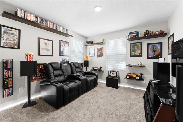 839 Lightsey Crossing Ln, Saint Augustine, FL 32084 - living area with carpet and baseboards