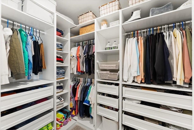 839 Lightsey Crossing Ln, Saint Augustine, FL 32084 - view of spacious closet