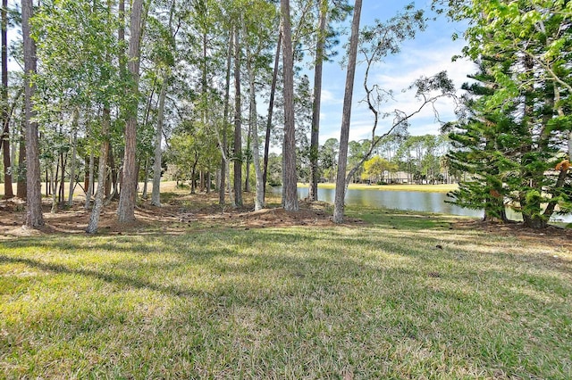 20 Elias Ln, Palm Coast, FL 32164 - photo 30