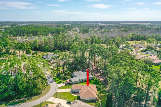 20 Elias Ln, Palm Coast, FL 32164 - photo 31