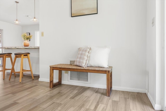 interior space featuring light hardwood / wood-style floors