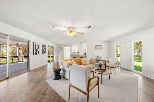 living room with hardwood / wood-style floors, a healthy amount of sunlight, and a textured ceiling