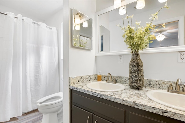 bathroom featuring vanity, toilet, and wood-type flooring