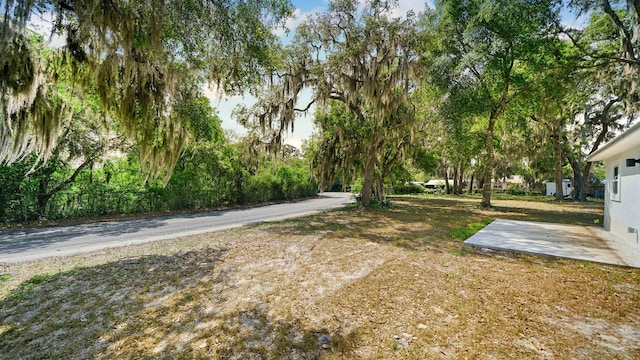 1407 High St, Palatka, FL 32177 - photo 21