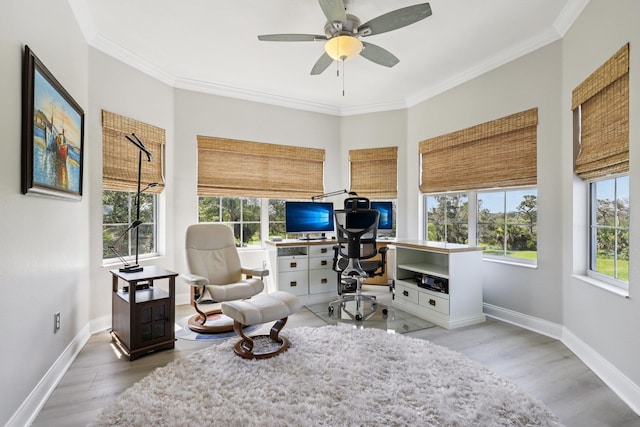 104 Fiddler Crab Ln, Saint Augustine, FL 32080 - sitting room featuring healthy amount of natural light, an office area, wood finished floors, a ceiling fan, and crown molding
