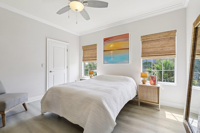 104 Fiddler Crab Ln, Saint Augustine, FL 32080 - bedroom with wood finished floors, ornamental molding, and ceiling fan