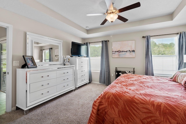 bedroom featuring a tray ceiling, access to exterior, ceiling fan, and carpet