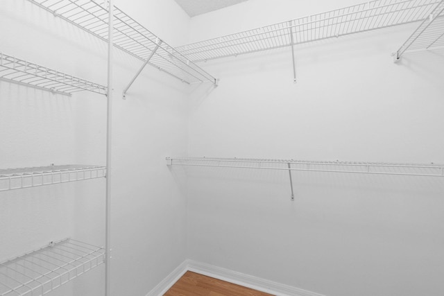 spacious closet featuring wood finished floors