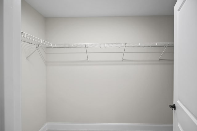 view of walk in closet