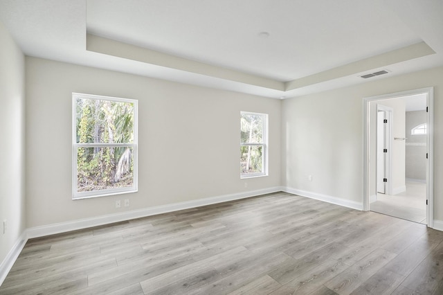 unfurnished room featuring a raised ceiling, a wealth of natural light, and light hardwood / wood-style flooring