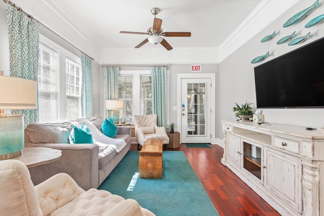 54 Grove Ave, Saint Augustine, FL 32084 - living room with ceiling fan, dark wood-style flooring, baseboards, and crown molding