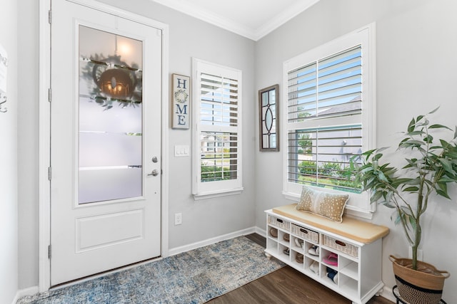 313 Aventurine Ave, Saint Augustine, FL 32086 - entrance foyer with dark wood-type flooring and ornamental molding