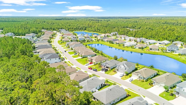313 Aventurine Ave, Saint Augustine, FL 32086 - aerial perspective of suburban area with a forest and a nearby body of water