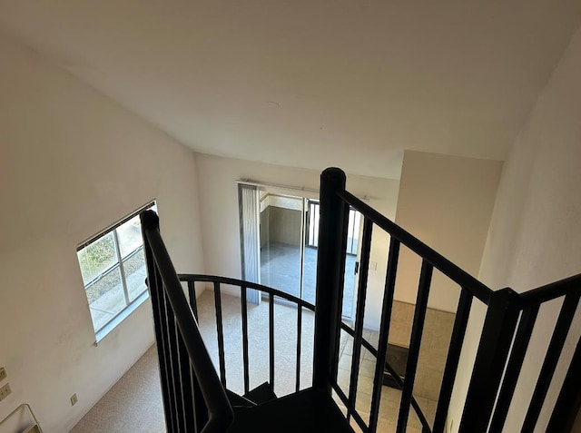 stairs featuring carpet floors