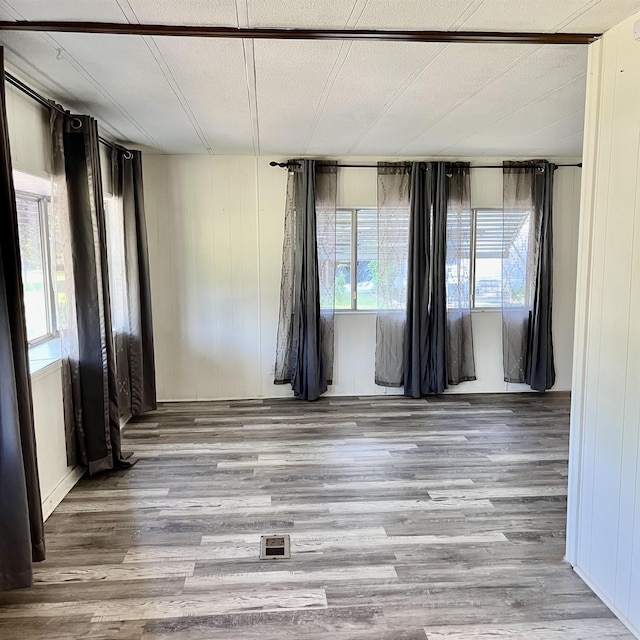 empty room featuring plenty of natural light, wood-type flooring, and wooden walls