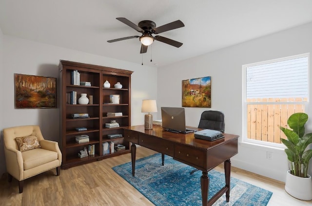 office space with ceiling fan and light wood-type flooring