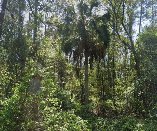 119 2nd St, Georgetown FL, 32139 land for sale