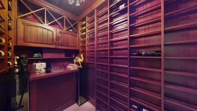 view of wine room