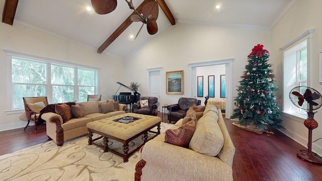 living room featuring ceiling fan, dark wood-type flooring, beamed ceiling, high vaulted ceiling, and ornamental molding